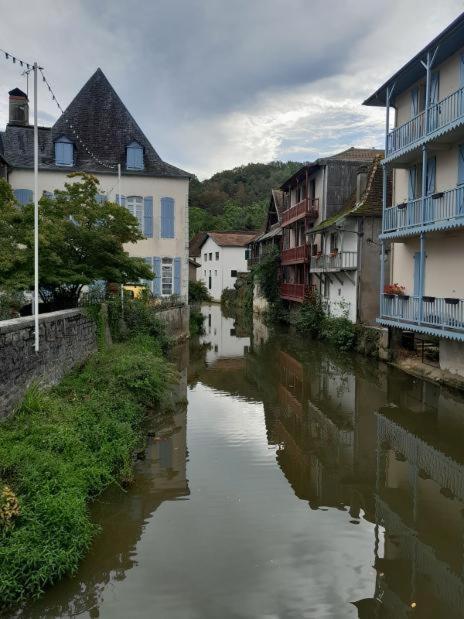 Maison Ichabelenia Salies-de-Béarn Extérieur photo